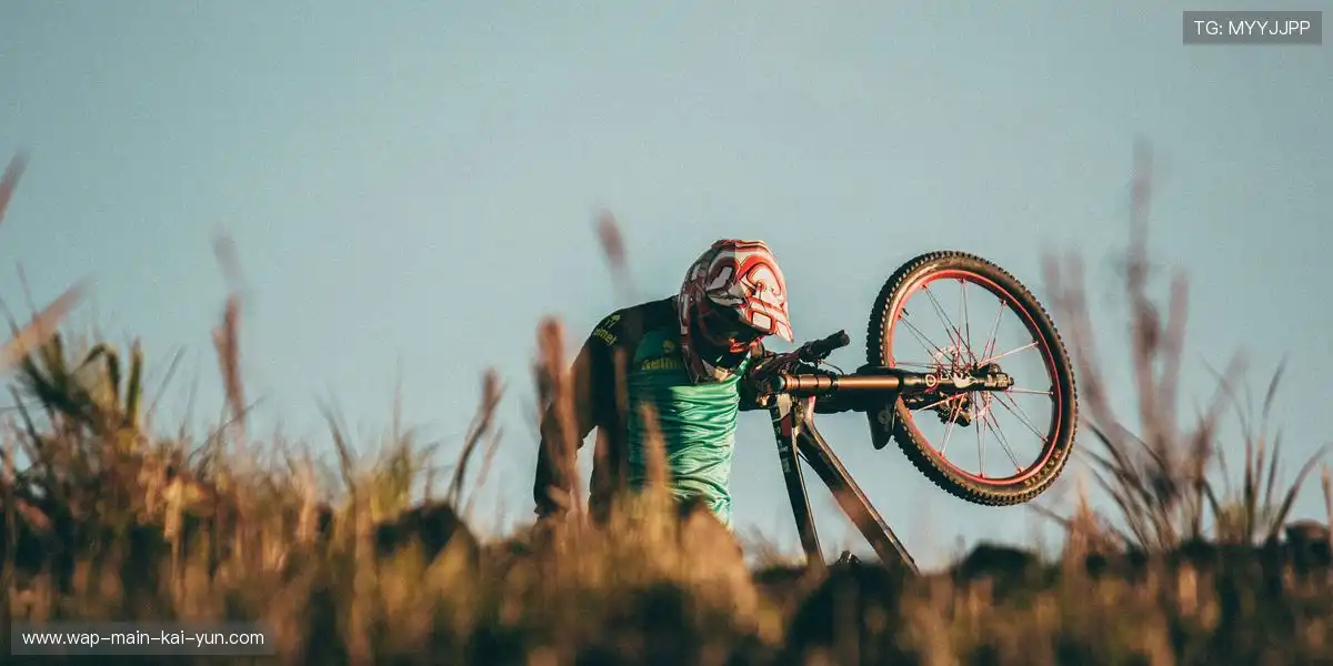 内容收敛机制增强整体质量